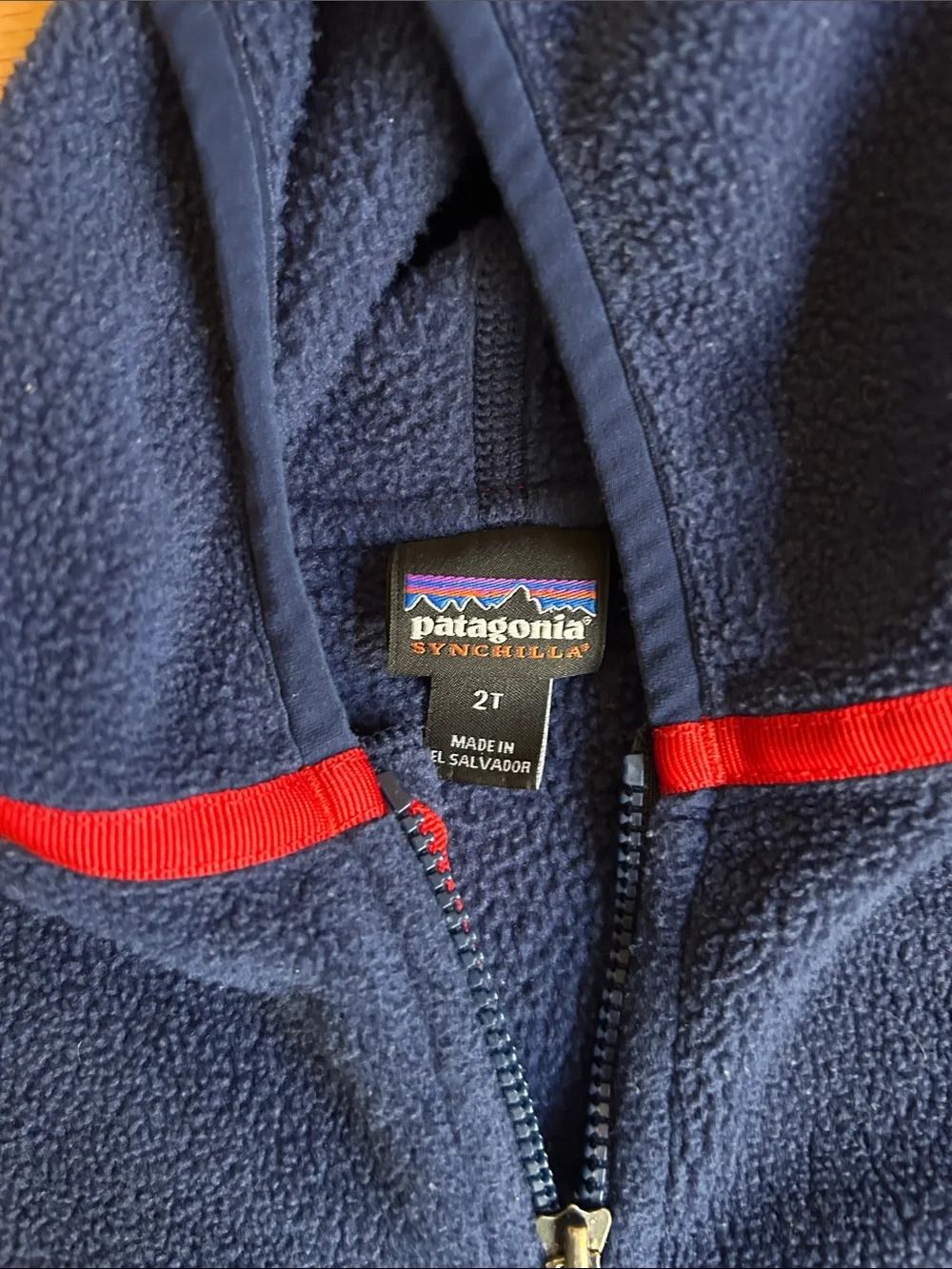 Patagonia Kids Blue Fleece Hoodie with Red Trim